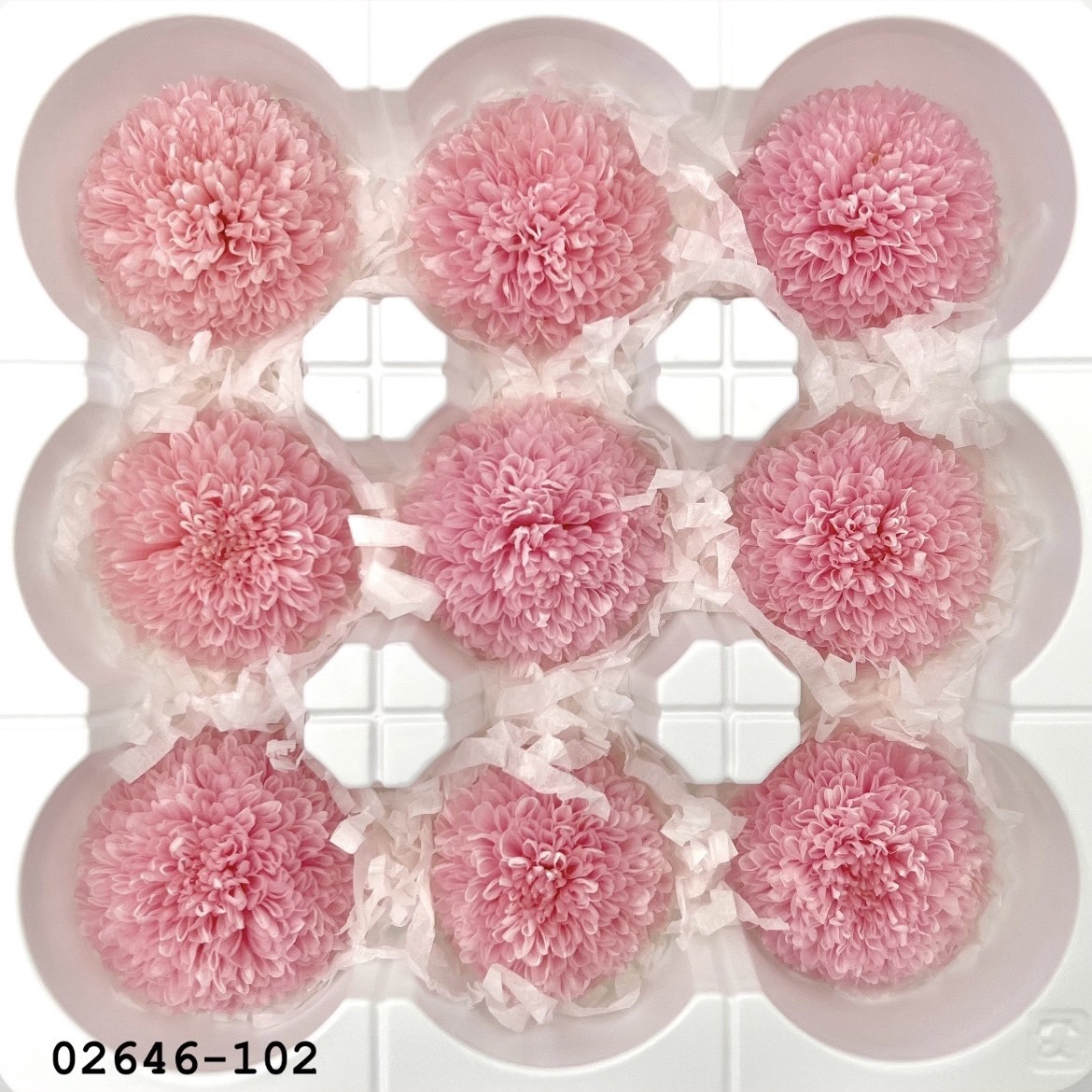 不凋乒乓菊(9朵) 02646-102