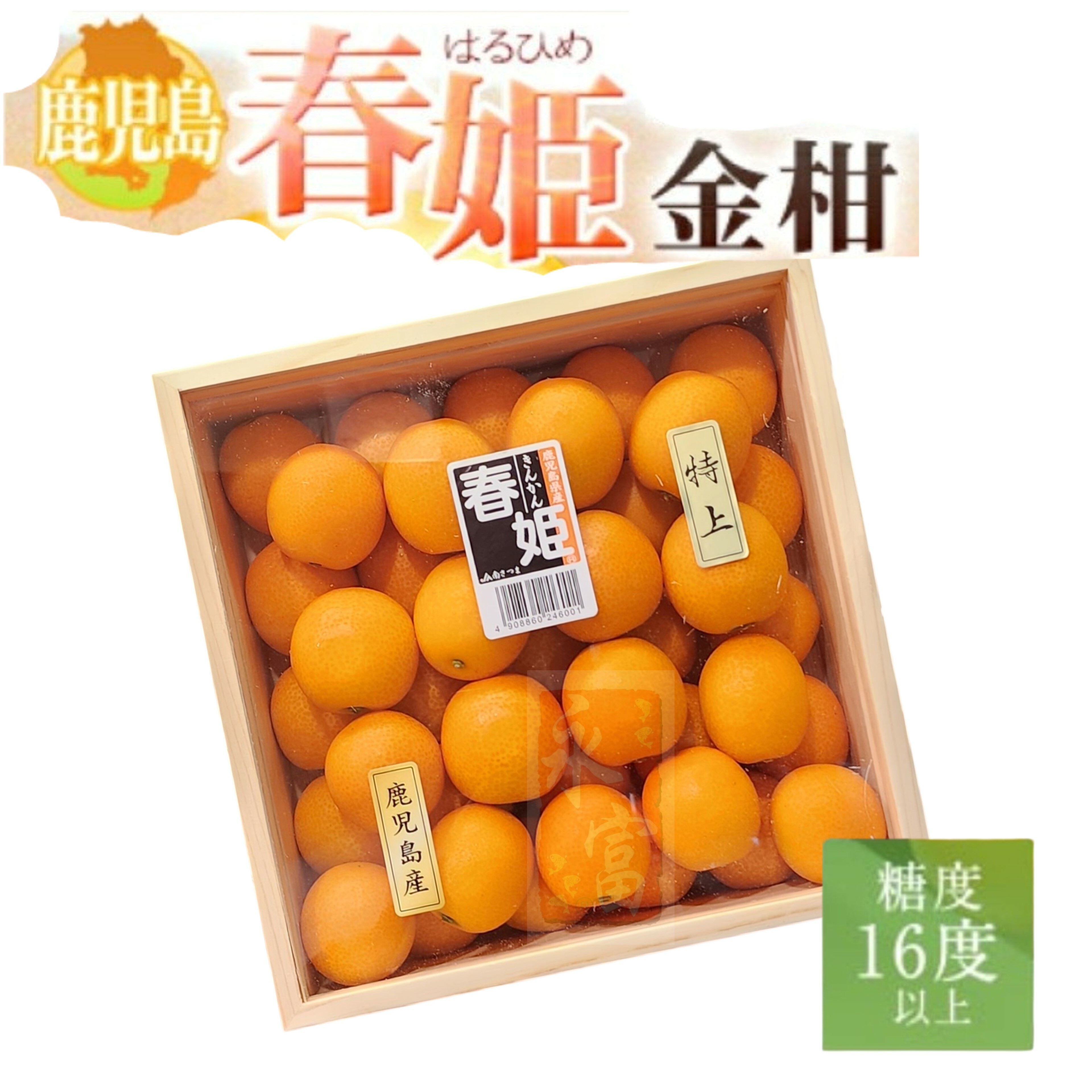 日本鹿兒島柑桔