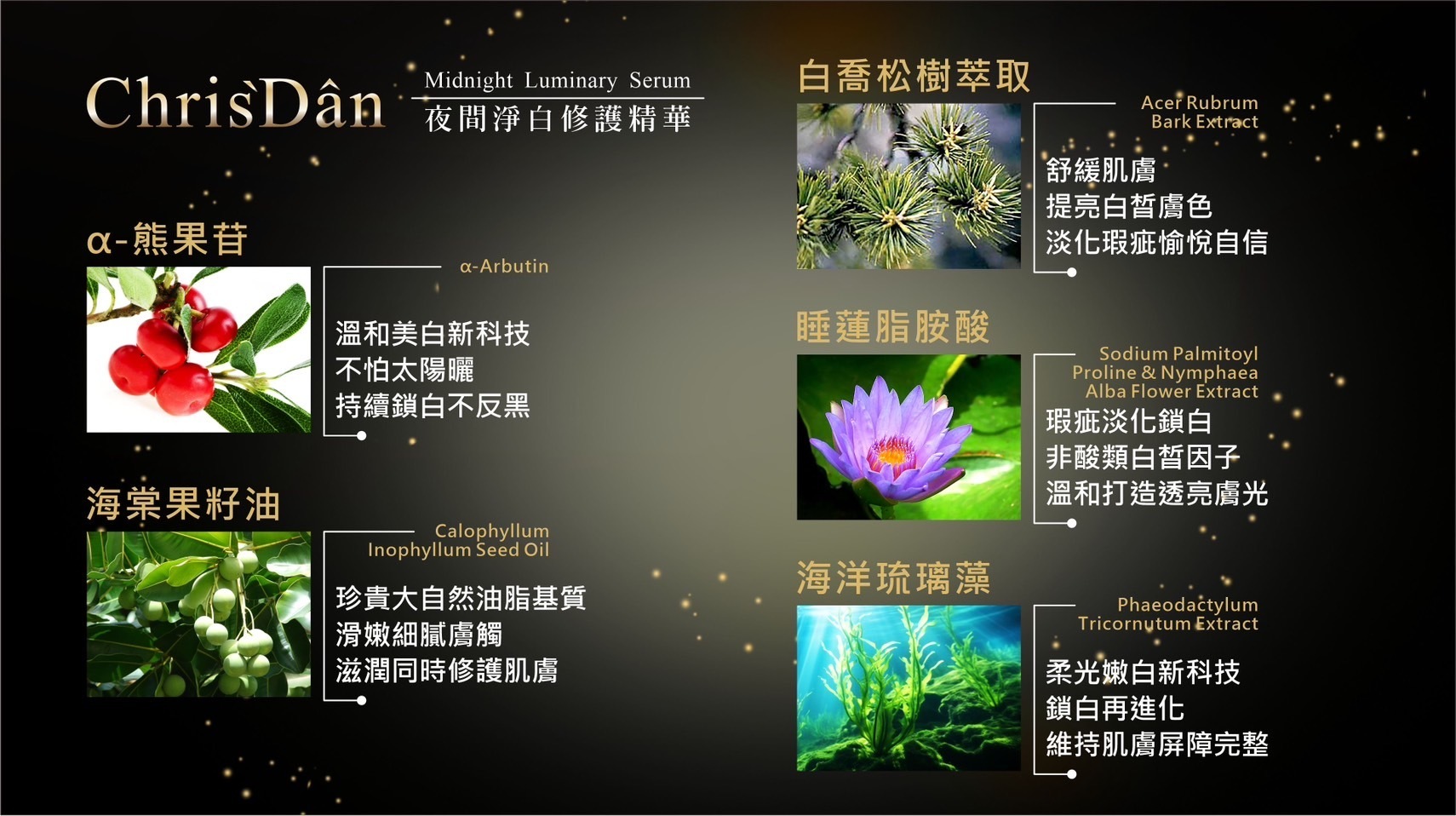 夜間淨白精華