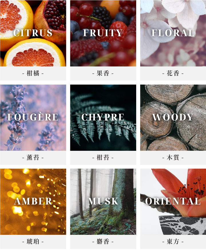 竹韻160g|香氛蠟燭|蠟燭推薦|香氛蠟燭推薦|My Fragrances