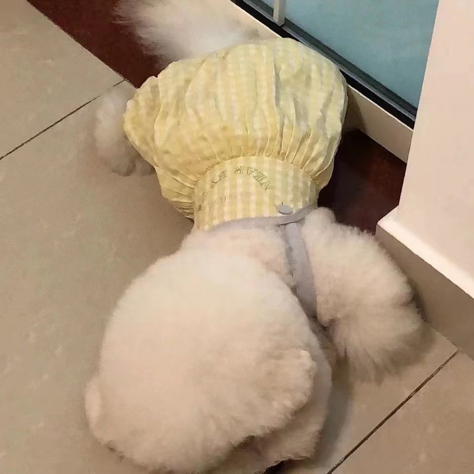 宠物衣服 潮流休闲背带裤