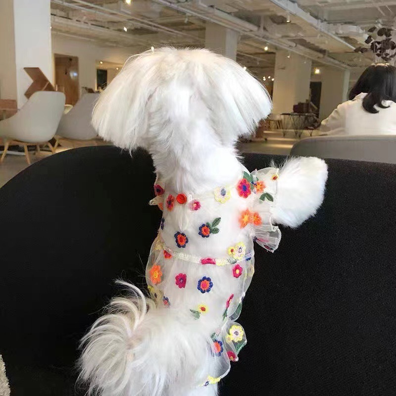 宠物衣服 防晒仙女裙