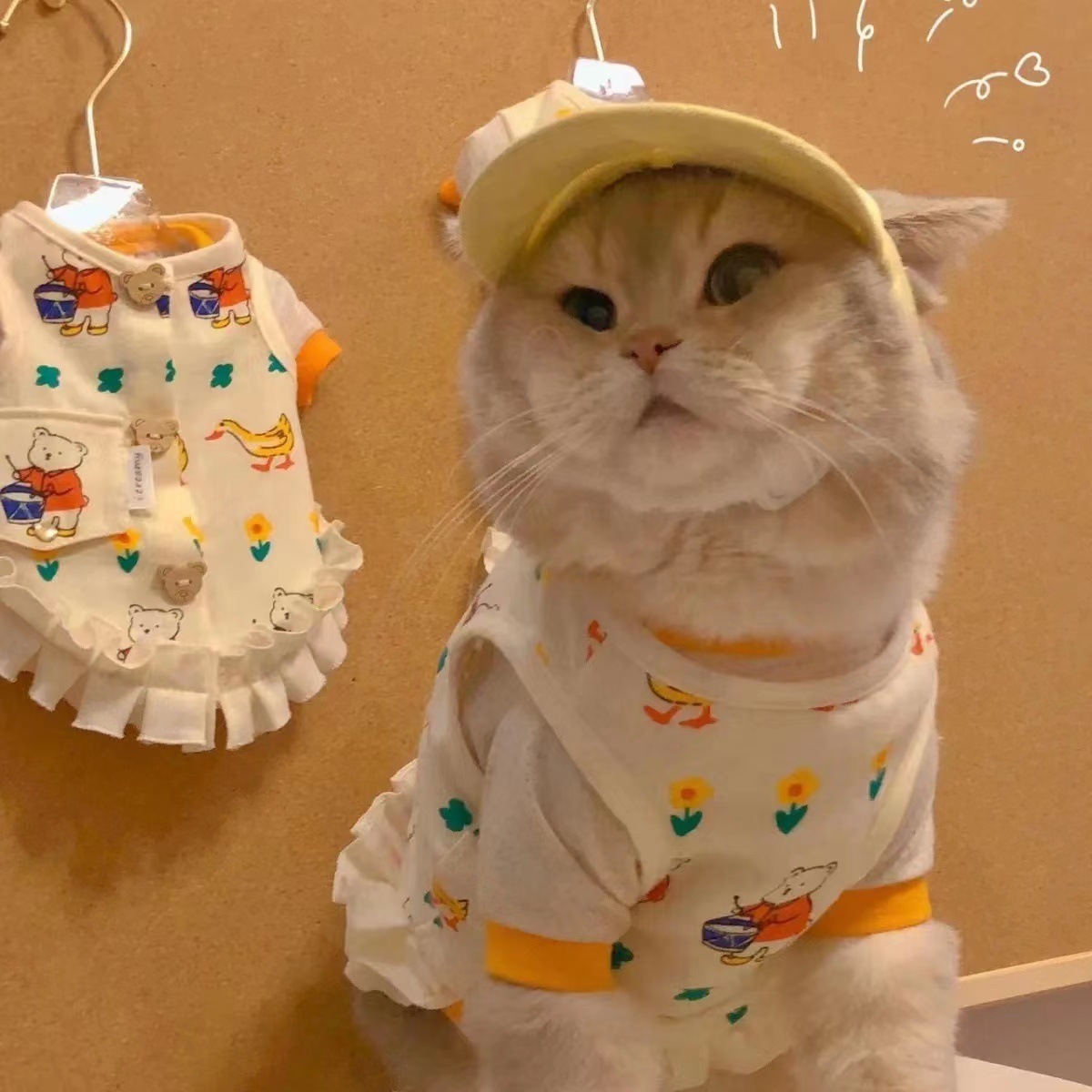 宠物衣服 小型犬 幼稚园裙 不含内搭