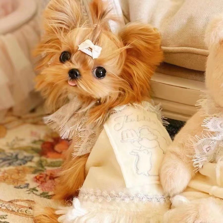 宠物衣服 绒绒蛋糕系列 丝绒裙