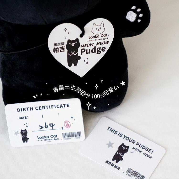 黑炭貓帕吉實體化 可愛貓咪娃娃