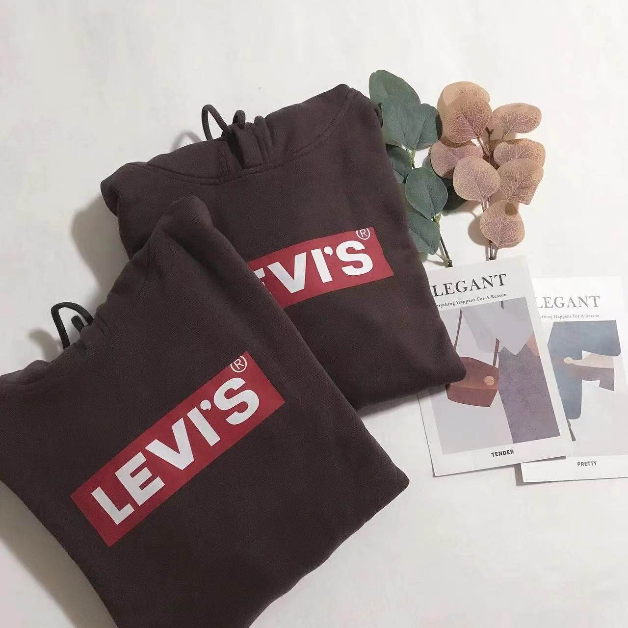 LEVIS CLASSIC LOGO HOODIES