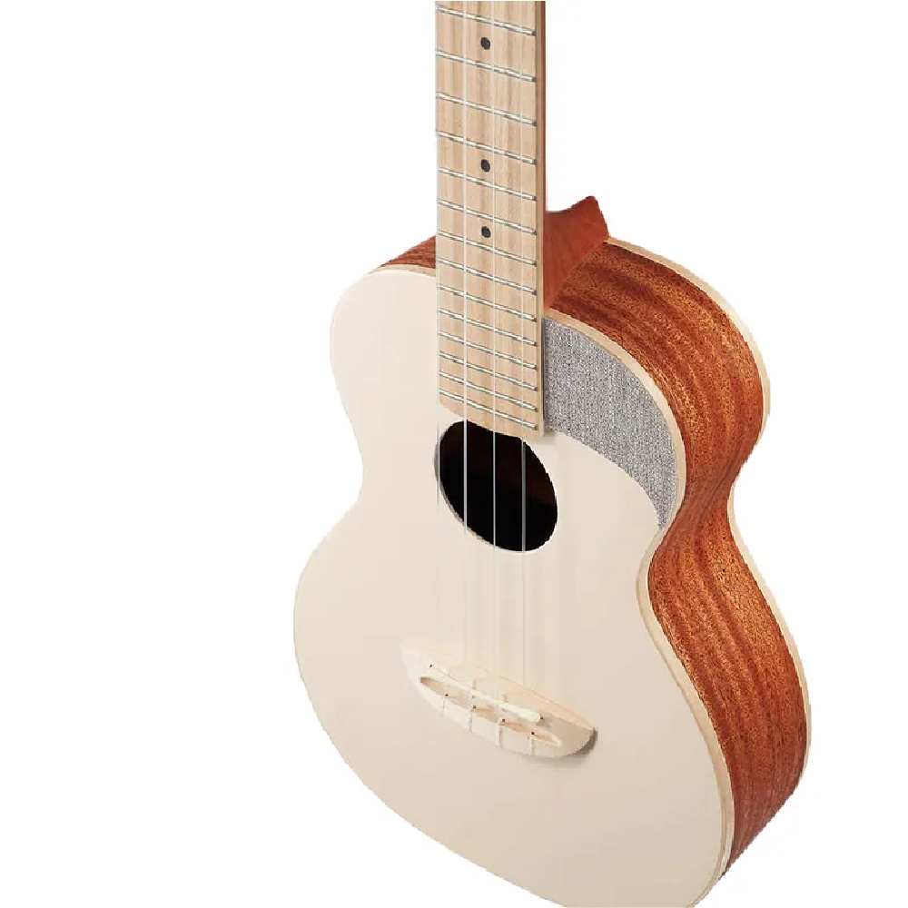 aNueNue aNueNue / UC10 Pantone色彩系列 23吋面單烏克麗麗(8色) 彩虹人官方認證 第 3 張圖片｜三峽烏克麗麗