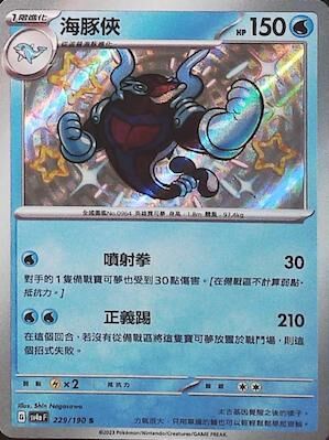 SV4aF 229/190 海豚俠