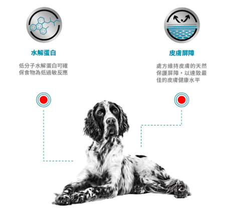 Royal Canin  - 處方食品成犬低敏處方罐頭 400G (12罐 )
