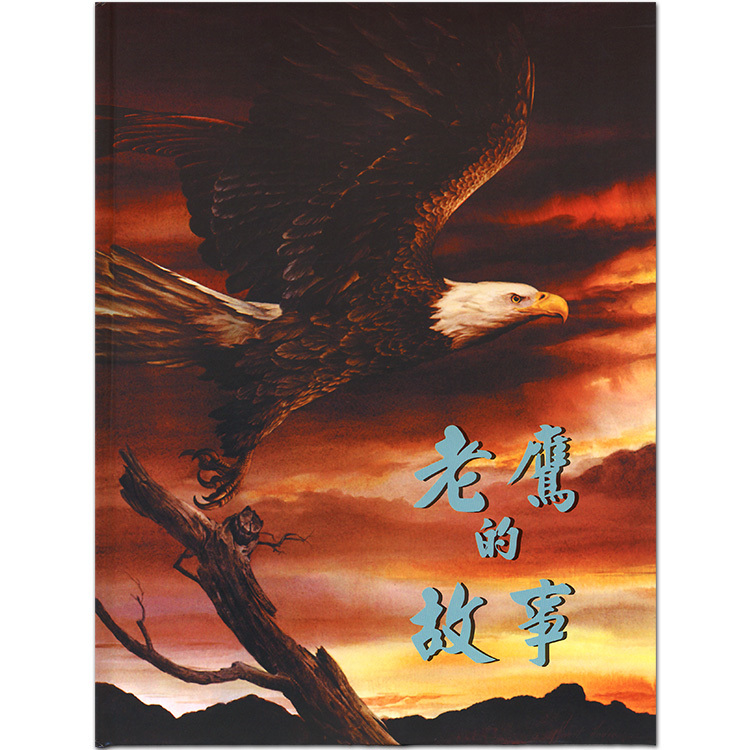 老鷹的故事