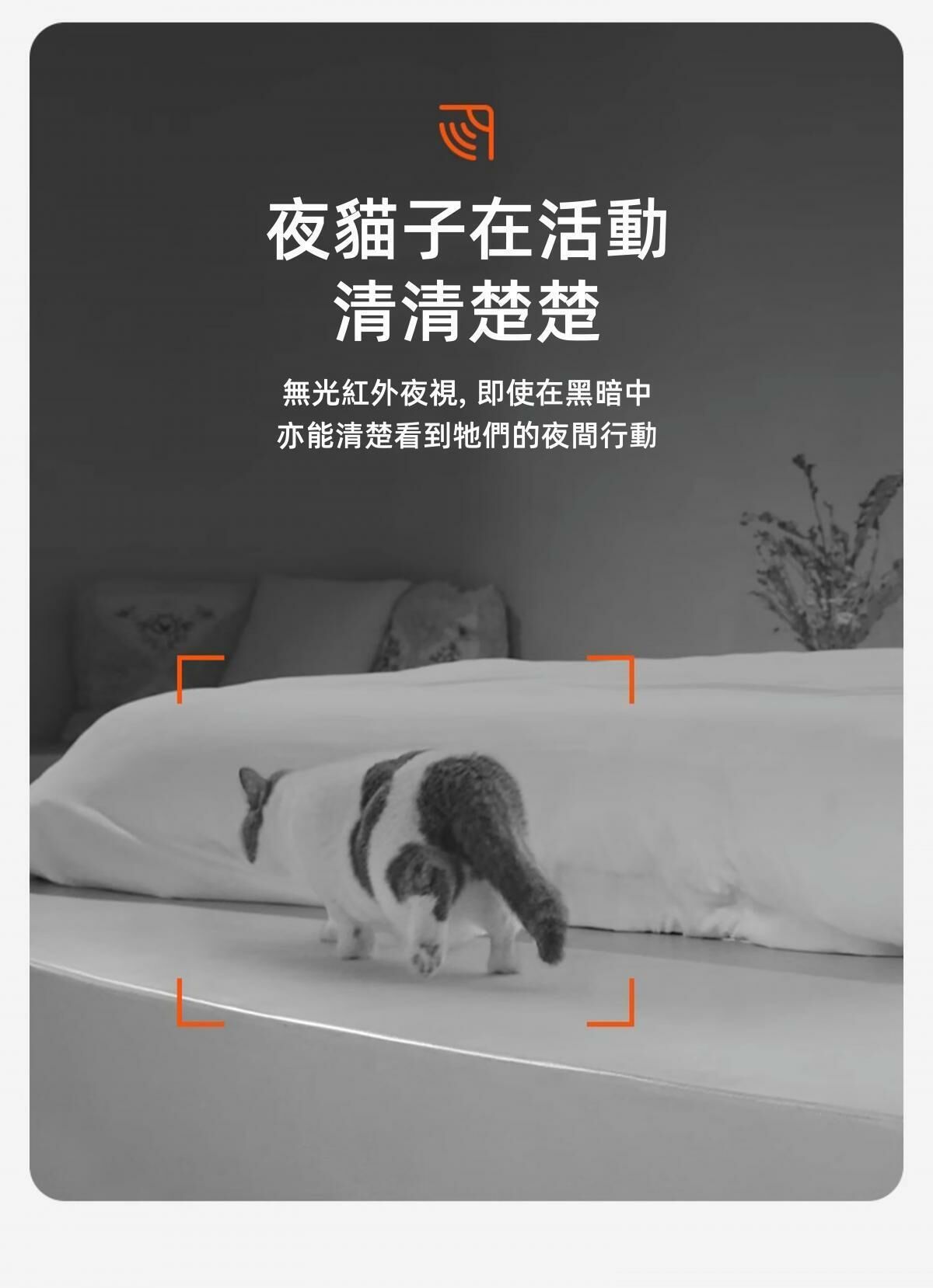 PETKIT Yumshare Gemini 智能餵食器 (鏡頭版 / 實時影像)