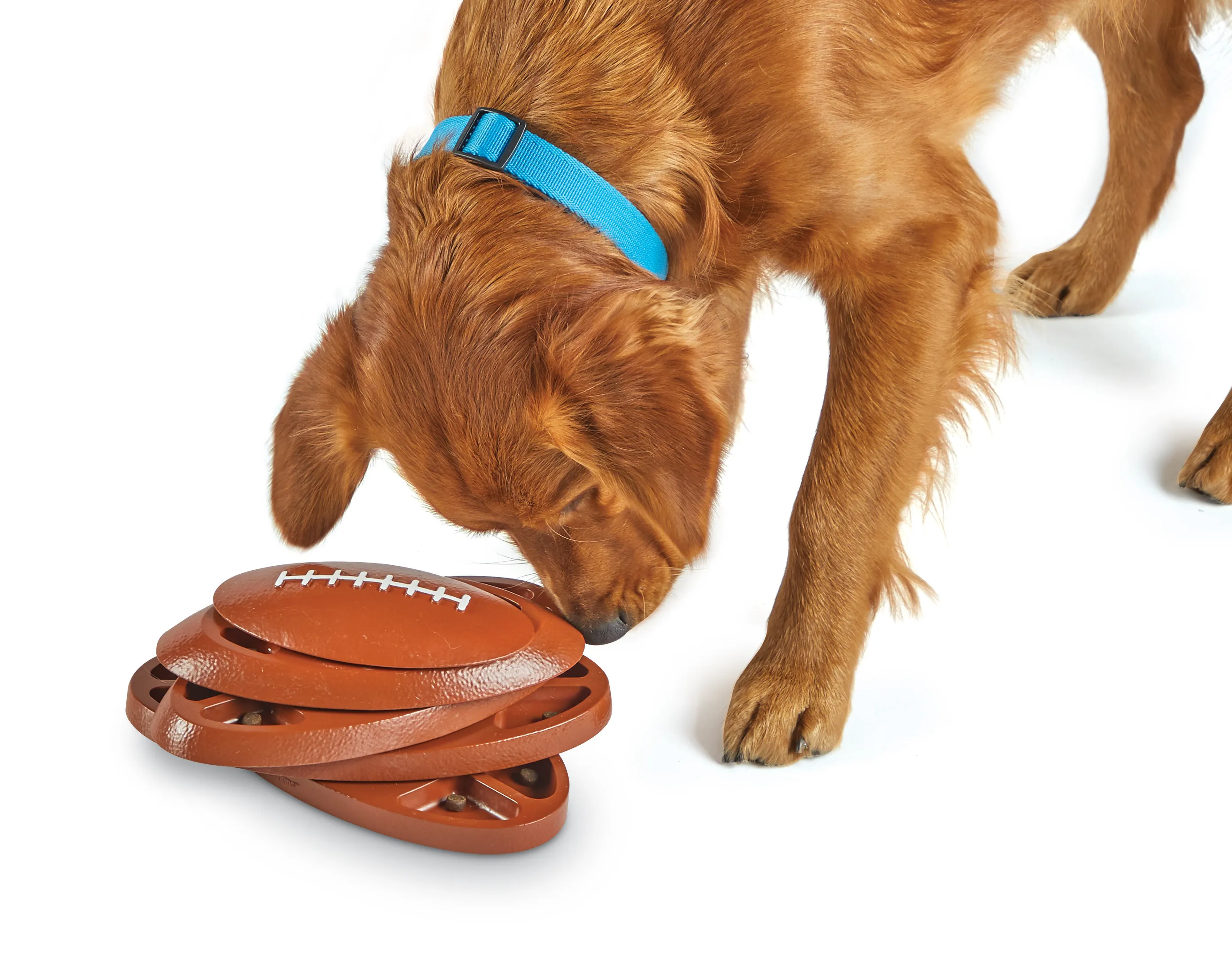 Brightkins  - 益智玩具 - 橄欖球旋轉藏食盤