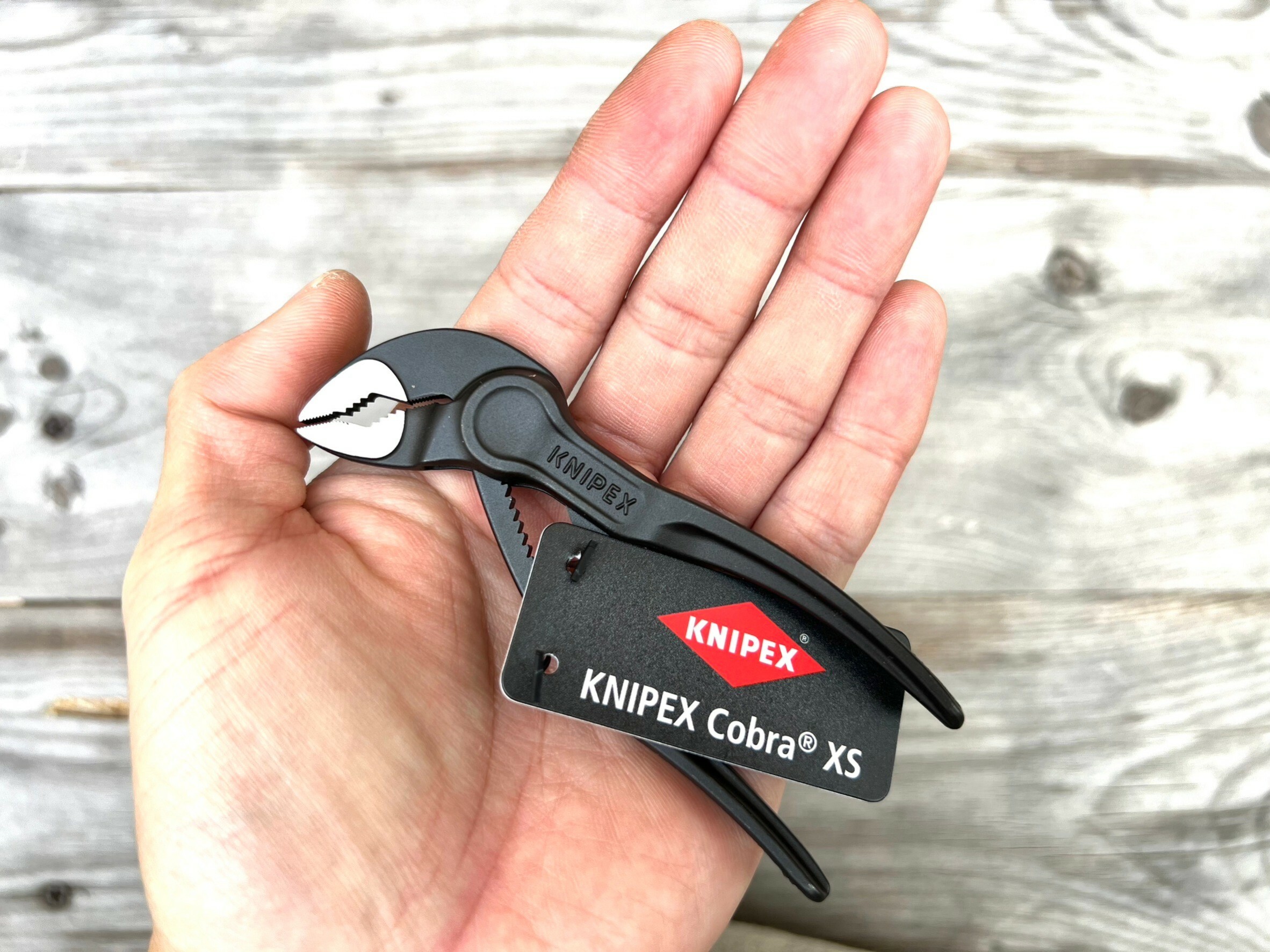 original.jpg?1703747645