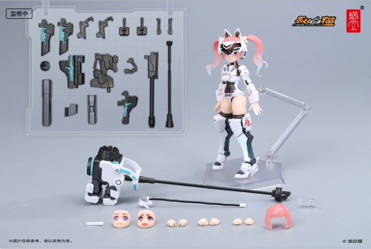 蝸之殼 1/12 強襲貓 安布拉