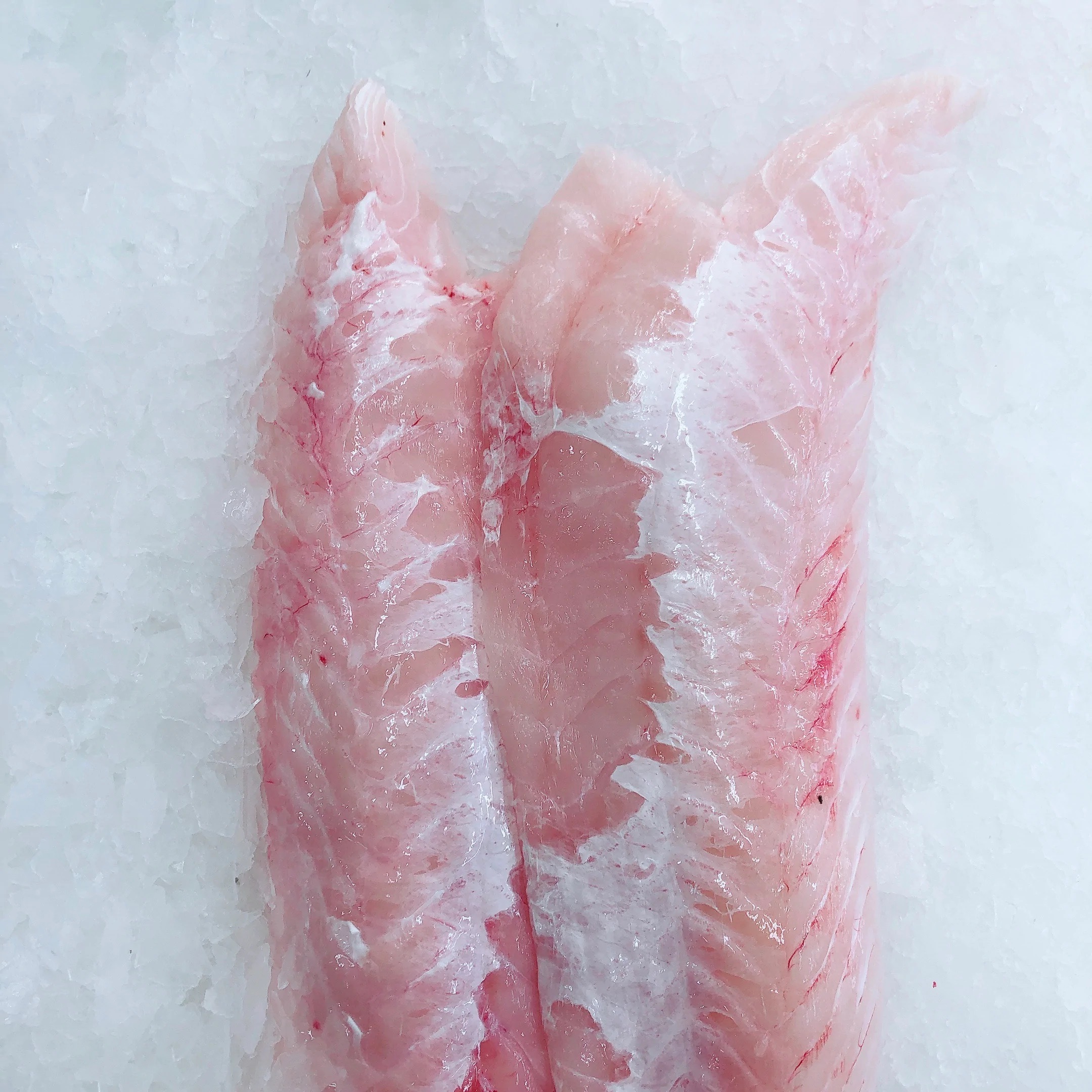 金鼬魚(粉圓鱈) -鹽麴 (320g±10％)