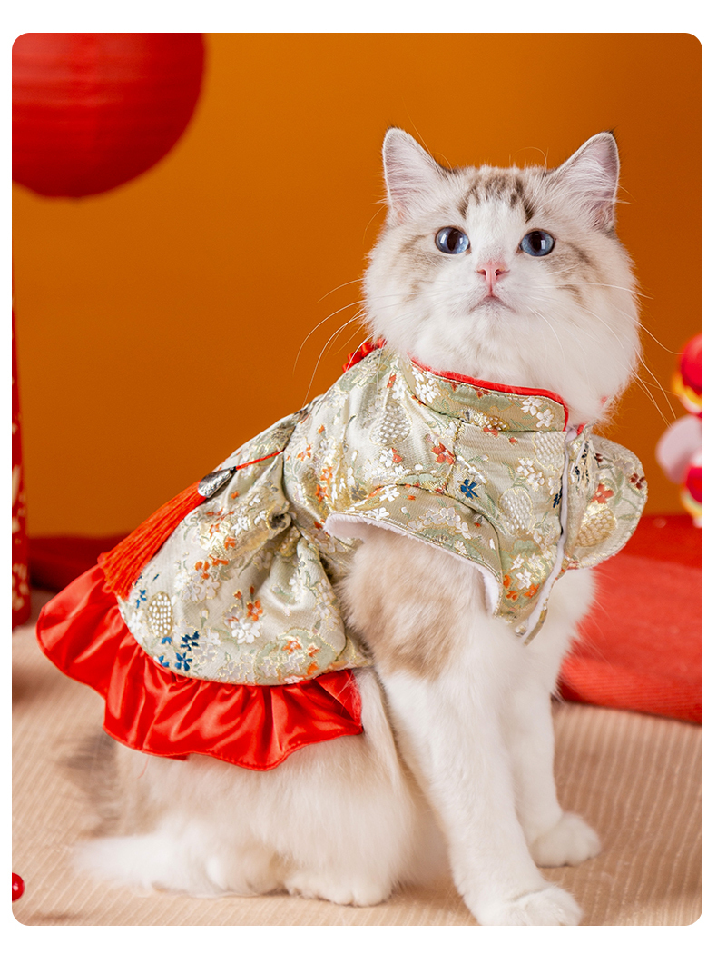 百花錦繡賀年唐裝裙