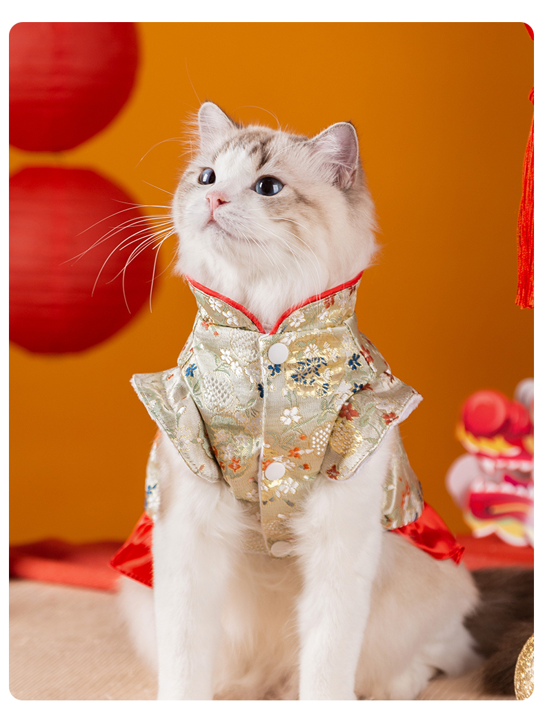 百花錦繡賀年唐裝裙