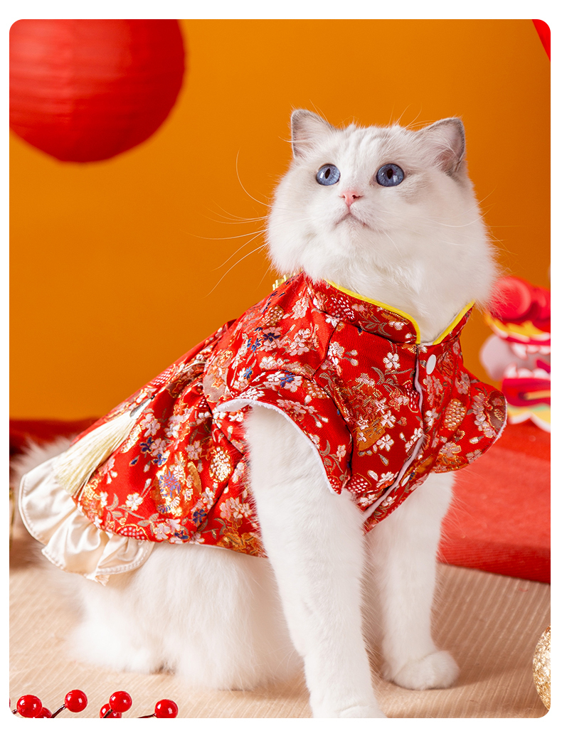 百花錦繡賀年唐裝裙