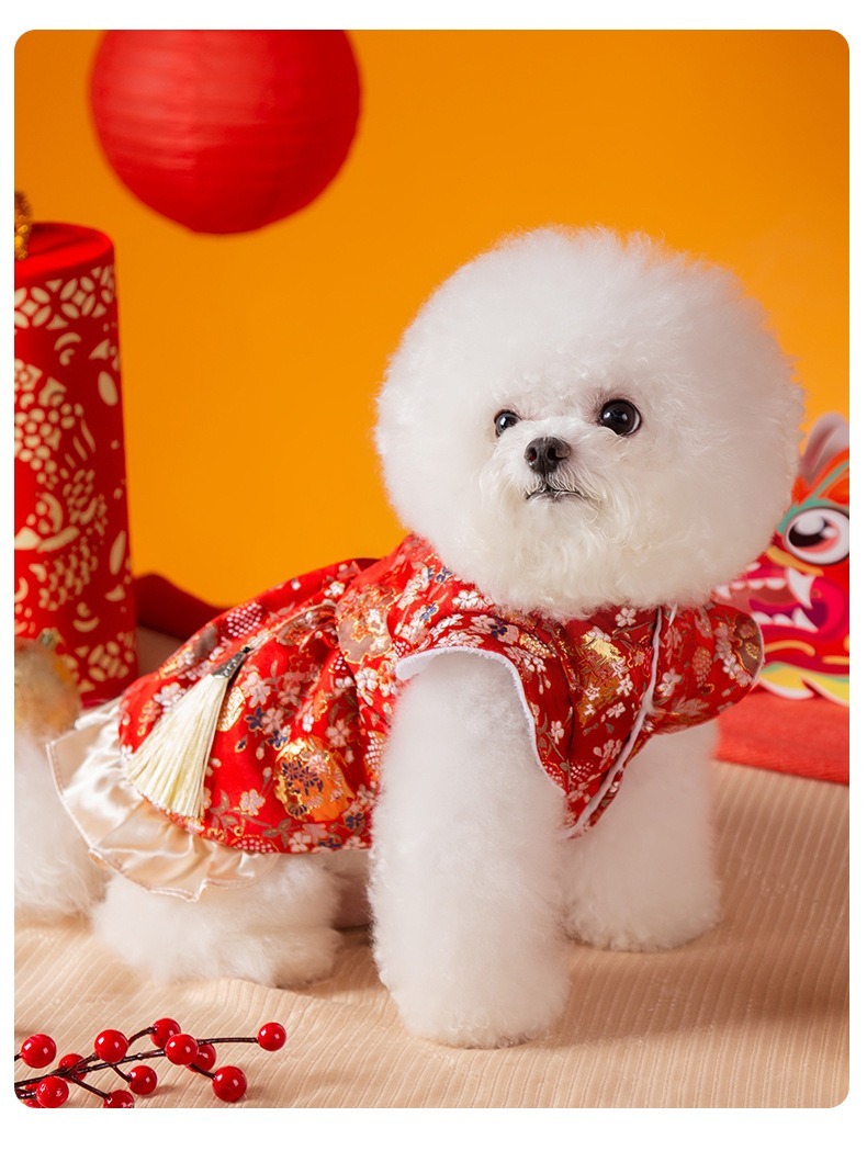 百花錦繡賀年唐裝裙