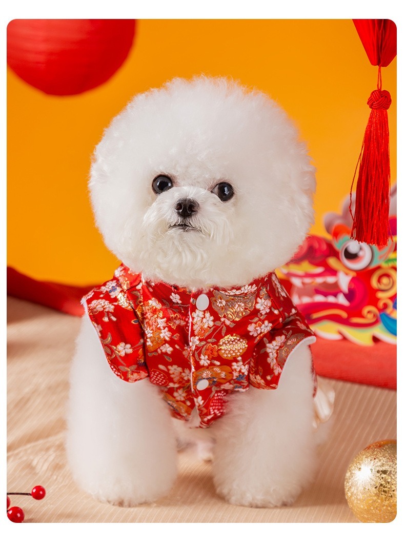 百花錦繡賀年唐裝裙