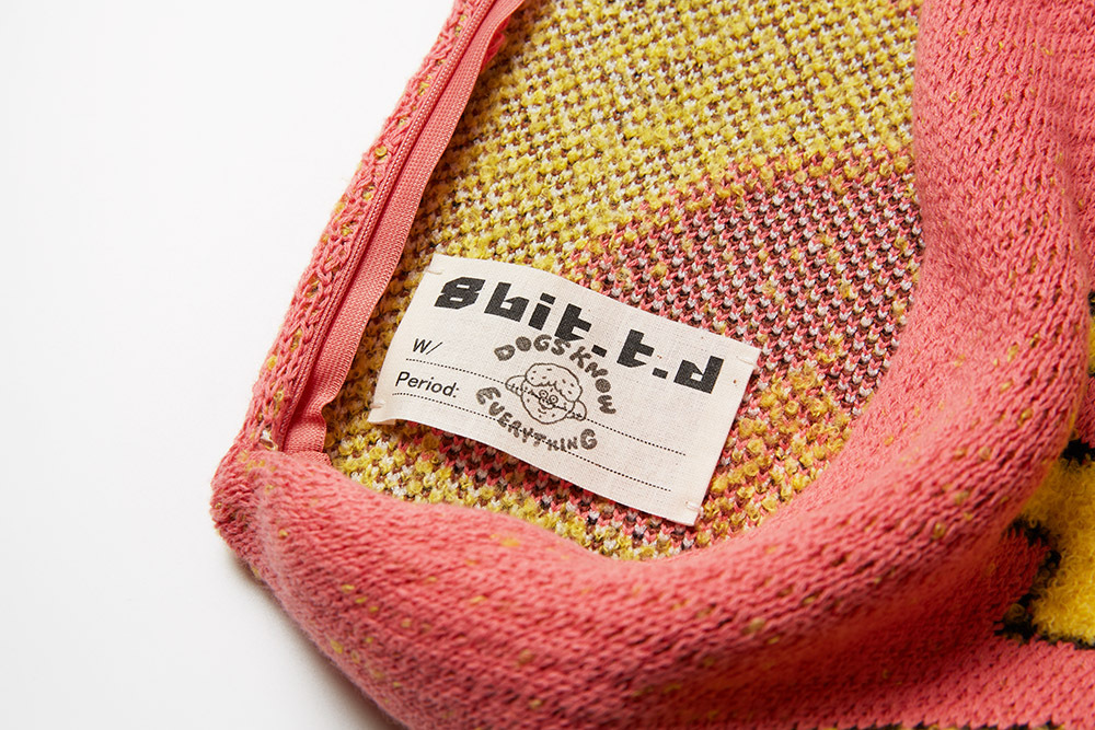 Megumi Yamazaki] Dogs Know Everything Pillow Dog A