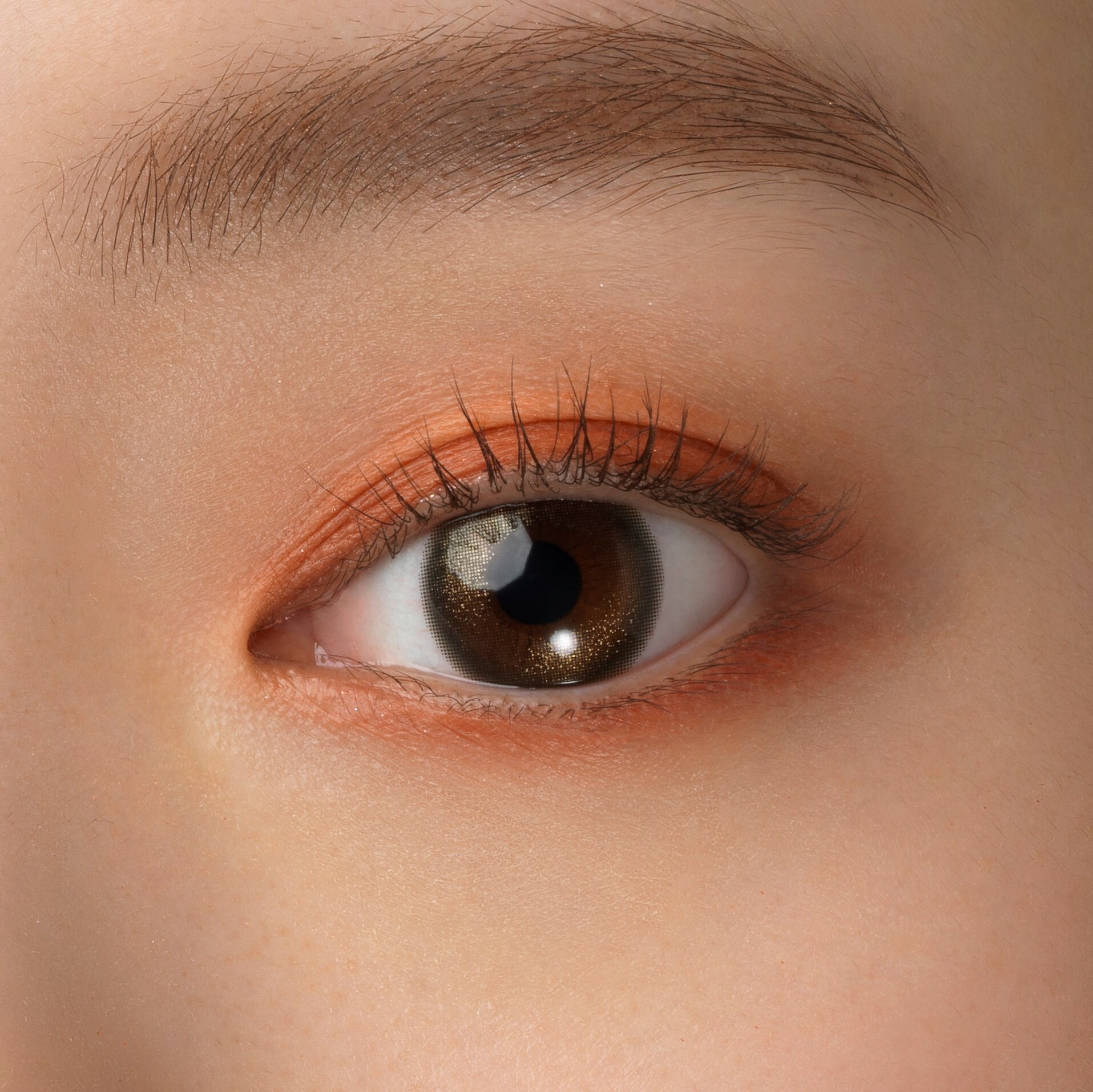 Fairy 1 Day Shimmering Series Color Contact Lenses 每日即棄有色隱形眼鏡(10片) Highlighter
