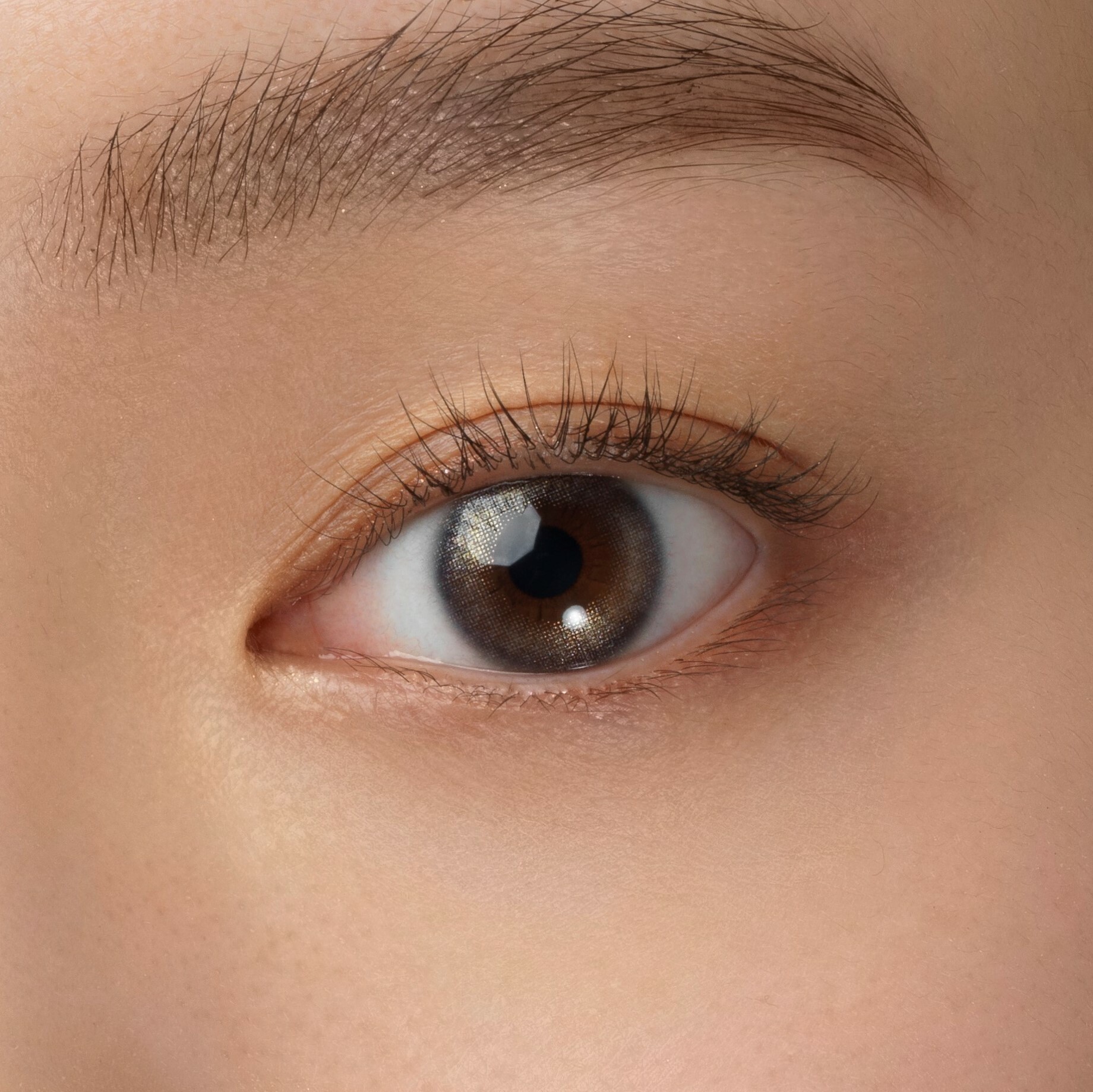 Fairy 1 Day Shimmering Series Color Contact Lenses 每日即棄有色隱形眼鏡(10片) Hologram Shell