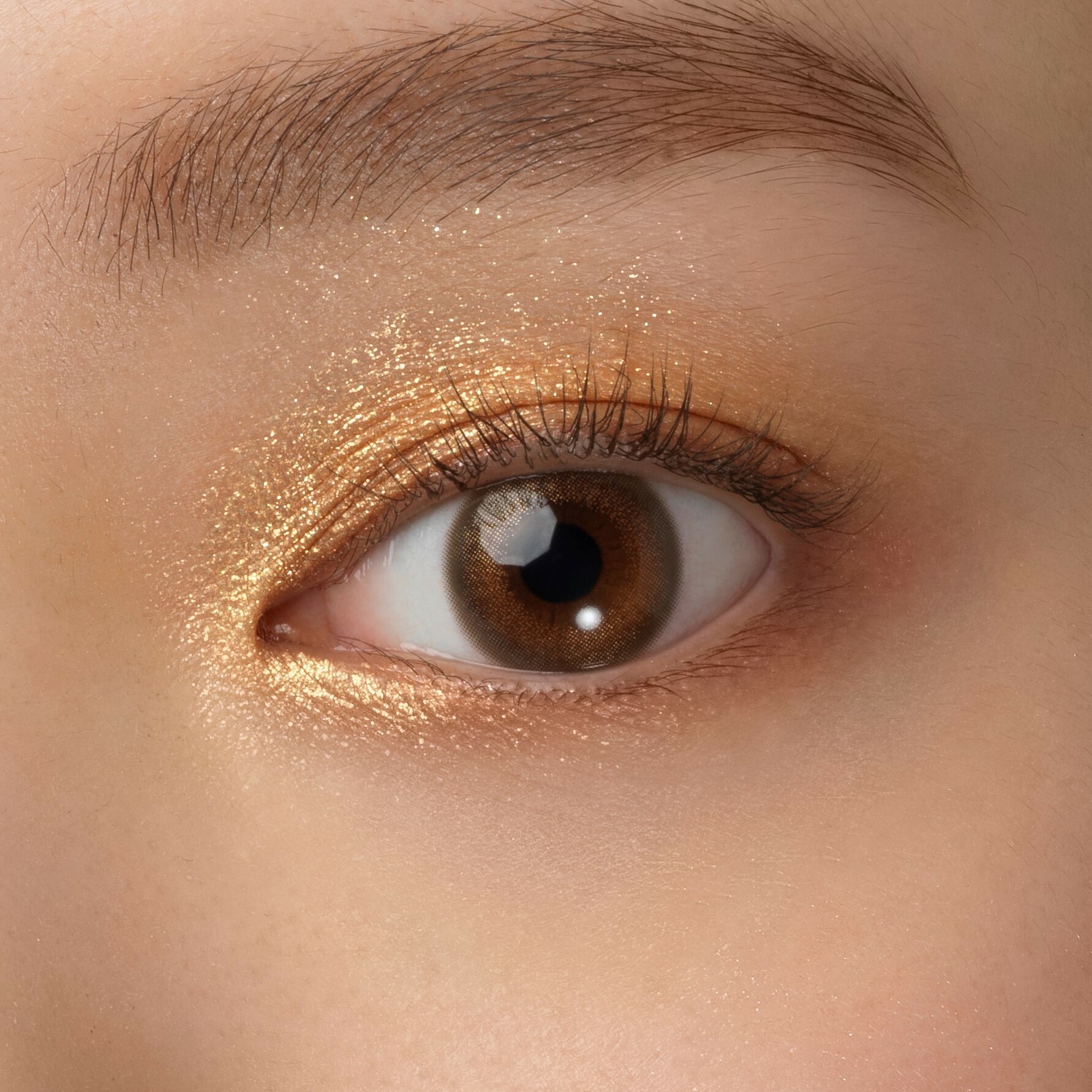 Fairy 1 Day Shimmering Series Color Contact Lenses 每日即棄有色隱形眼鏡(10片) Silky Ginger