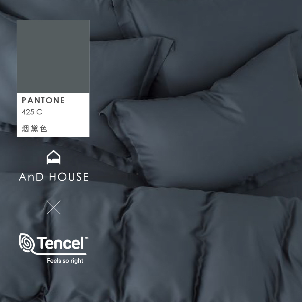 60支天絲｜100%萊賽爾｜烟黛色｜單品&床包被套組