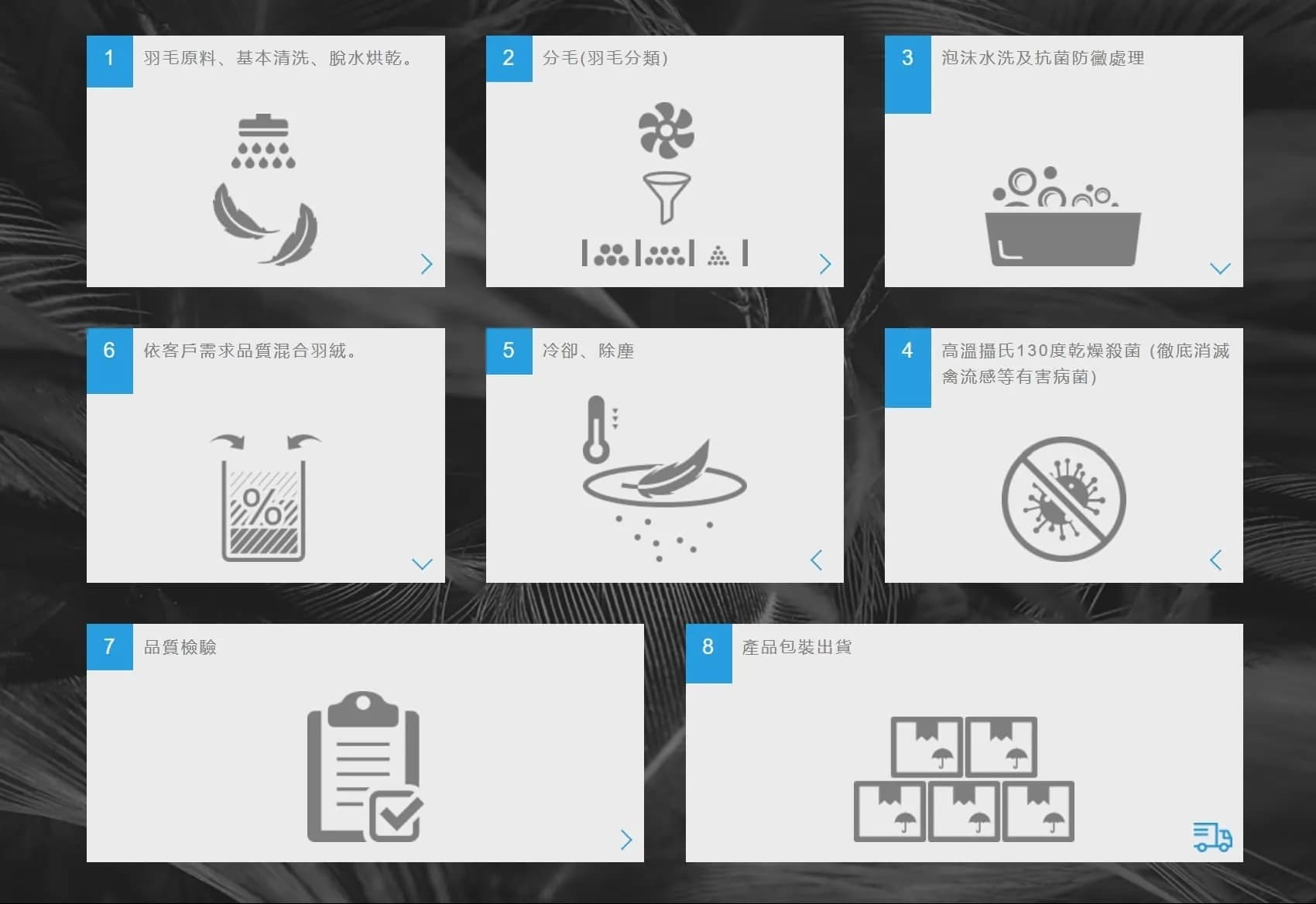 高規鵝絨系列 FP850