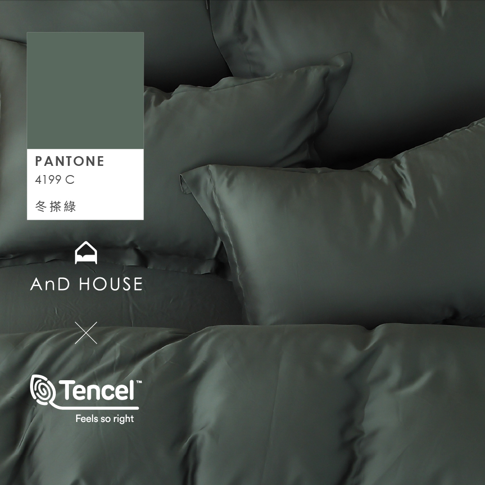 60支天絲｜100%萊賽爾｜冬搽綠｜單品&床包被套組