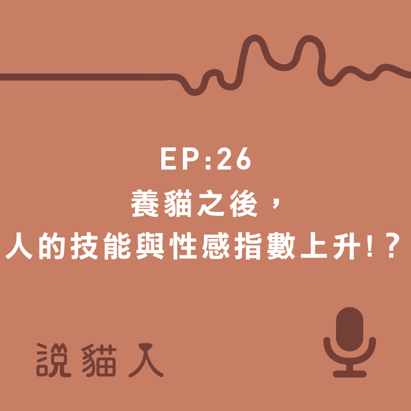 說貓人,貓咪,寵物, 拍拍, 寵物用品設計, 單熙汝, 動物行為,動物心理