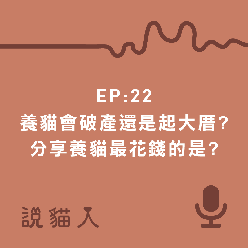 說貓人,貓咪,寵物, 拍拍, 寵物用品設計, 單熙汝, 動物行為,動物心理,寵物保險