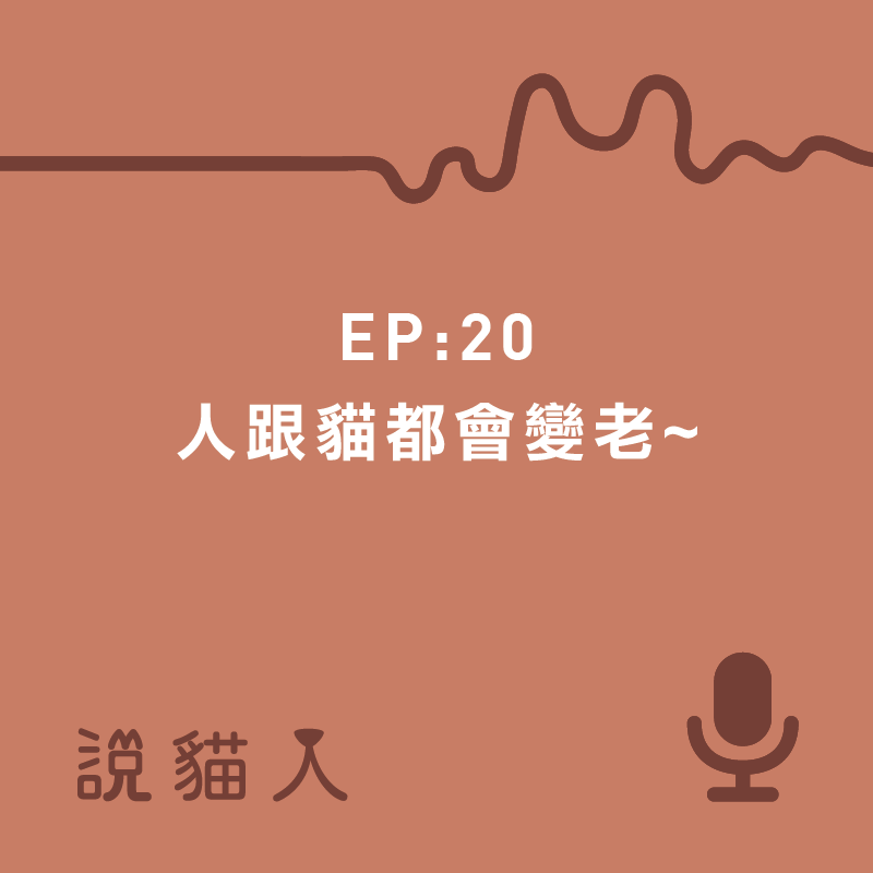 說貓人,貓咪,寵物, 拍拍, 寵物用品設計, 單熙汝, 動物行為,動物心理,寵物老年