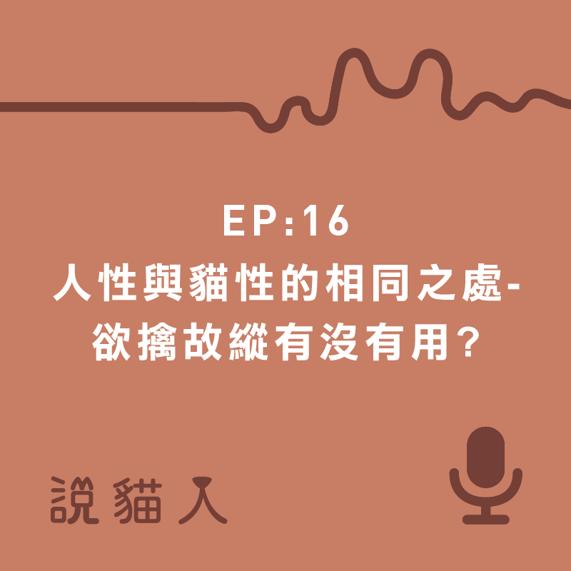 說貓人,貓咪,寵物, 拍拍, 寵物用品設計, 單熙汝, 動物行為,動物心理