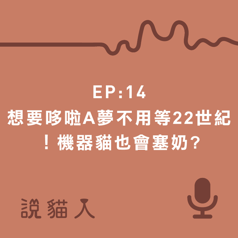 說貓人,貓咪,寵物, 拍拍, 寵物用品設計, 單熙汝, 動物行為,動物心理