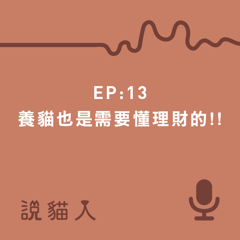 說貓人,貓咪,寵物, 拍拍, 寵物用品設計, 單熙汝, 動物行為,動物心理