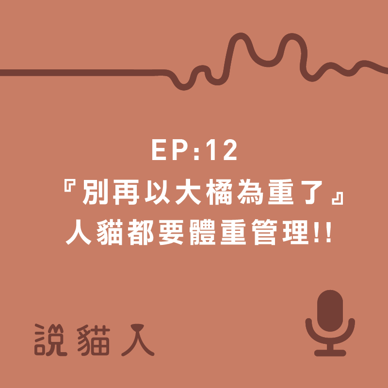 說貓人,貓咪,寵物, 拍拍, 寵物用品設計, 單熙汝, 動物行為,動物心理,貓減肥