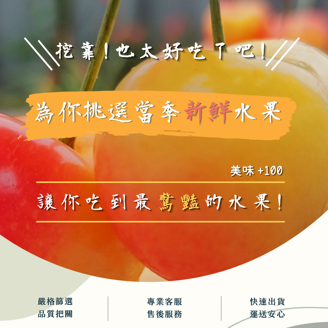 紐西蘭智利草莓白櫻桃