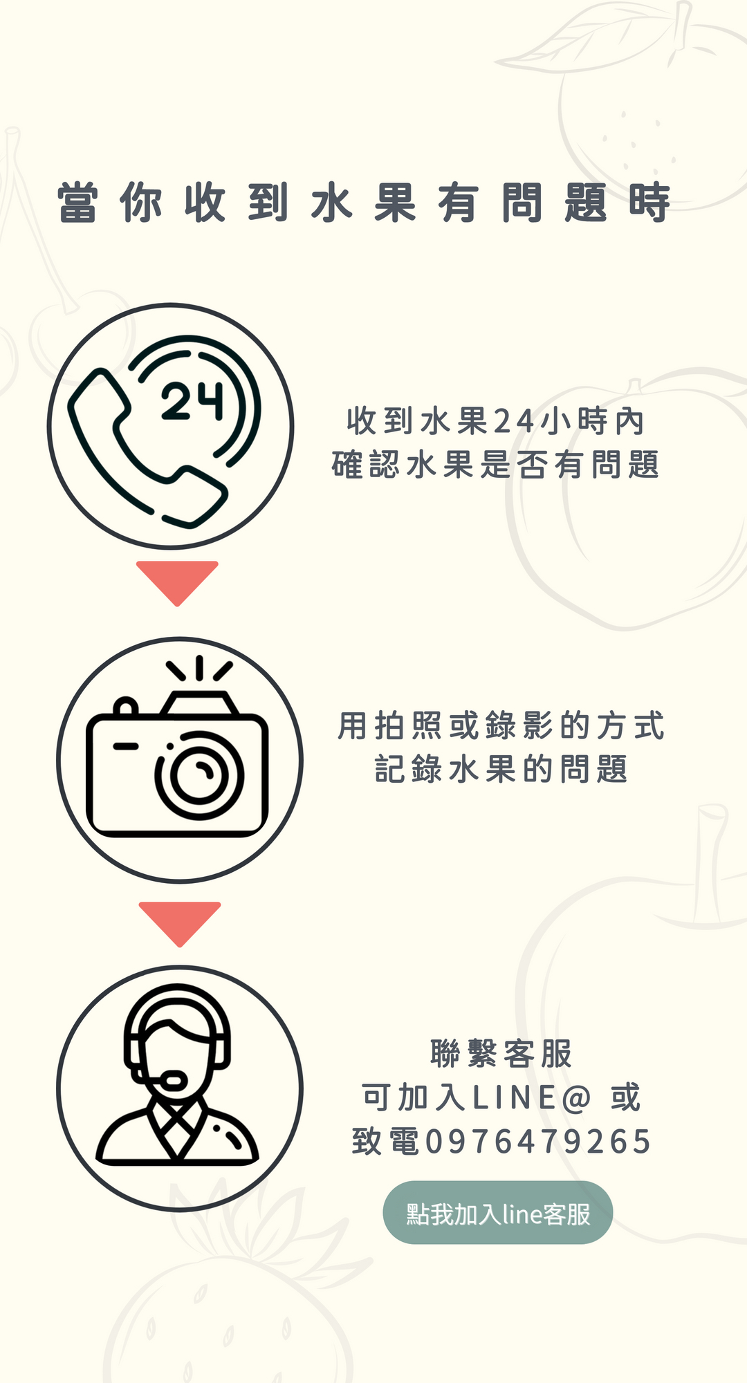 紐西蘭智利草莓白櫻桃