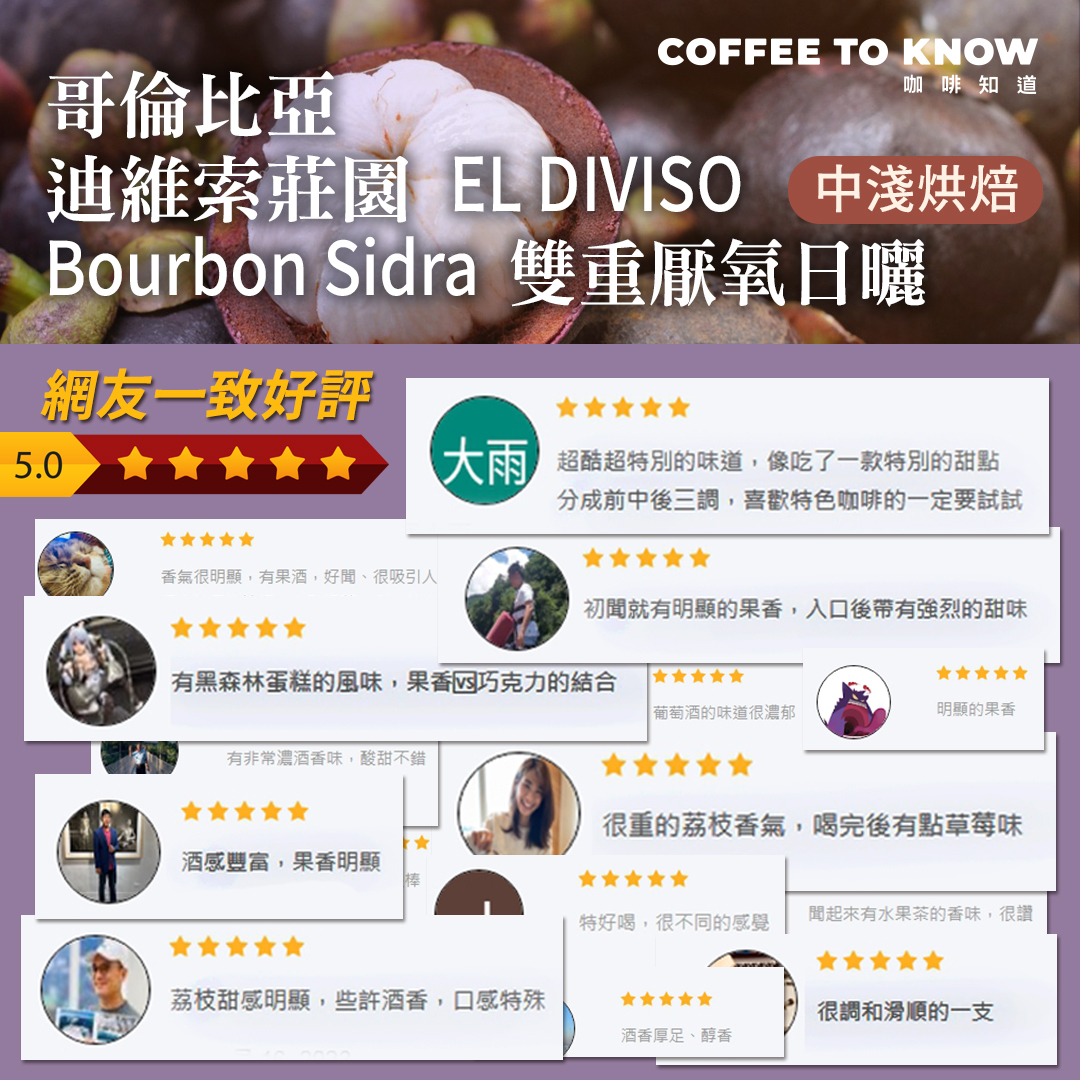 濾掛10包 / 中淺焙 薇拉省 2025 迪維索莊園BourbonSidra品種 雙重厭氧日曬