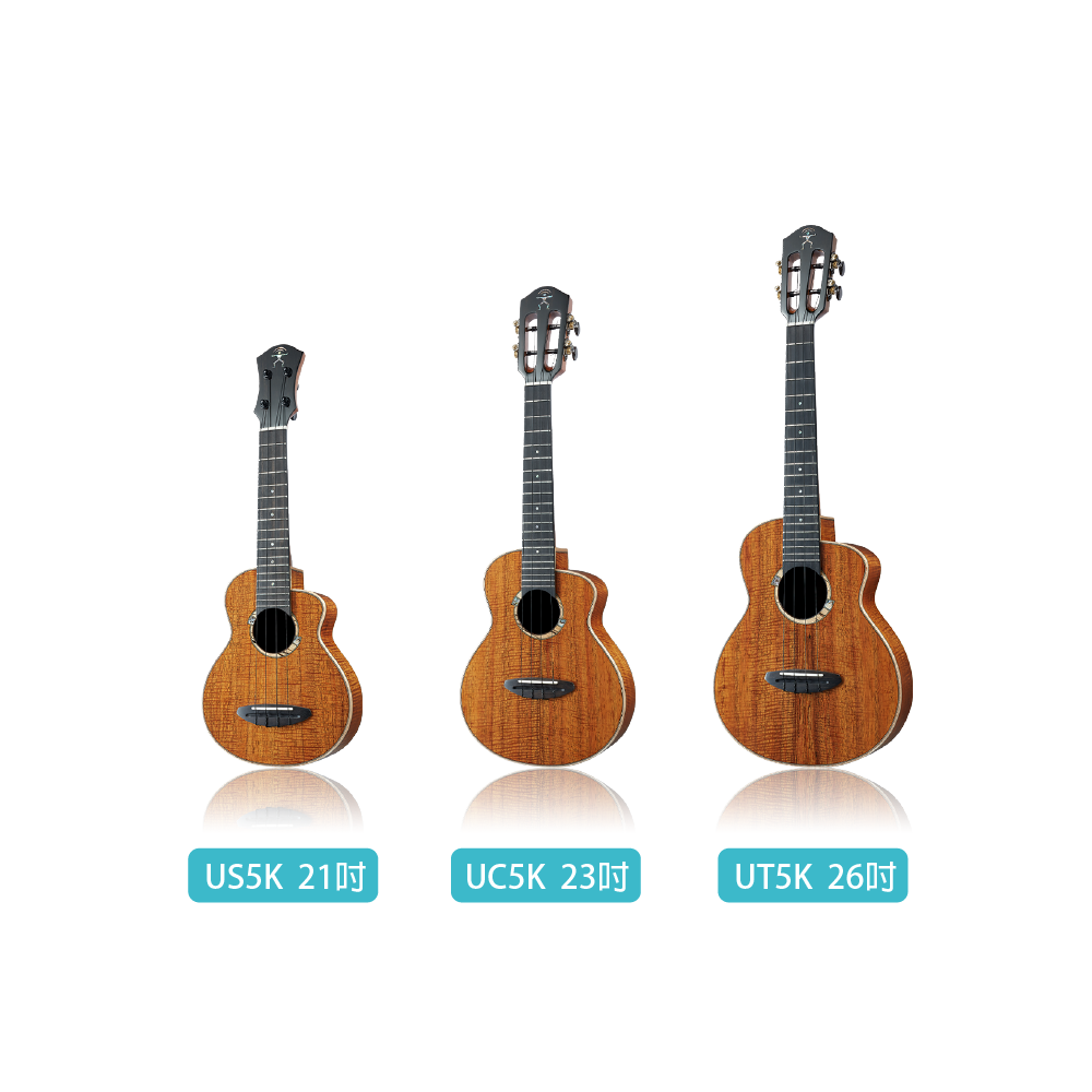 aNueNue / Bird 5K 光田守彥 鳥烏克系列 全單烏克麗麗(夏威夷相思木)(原聲款/插電款)(US5KE/UC5KE/UT5KE) 彩虹人官方認證 圖 2