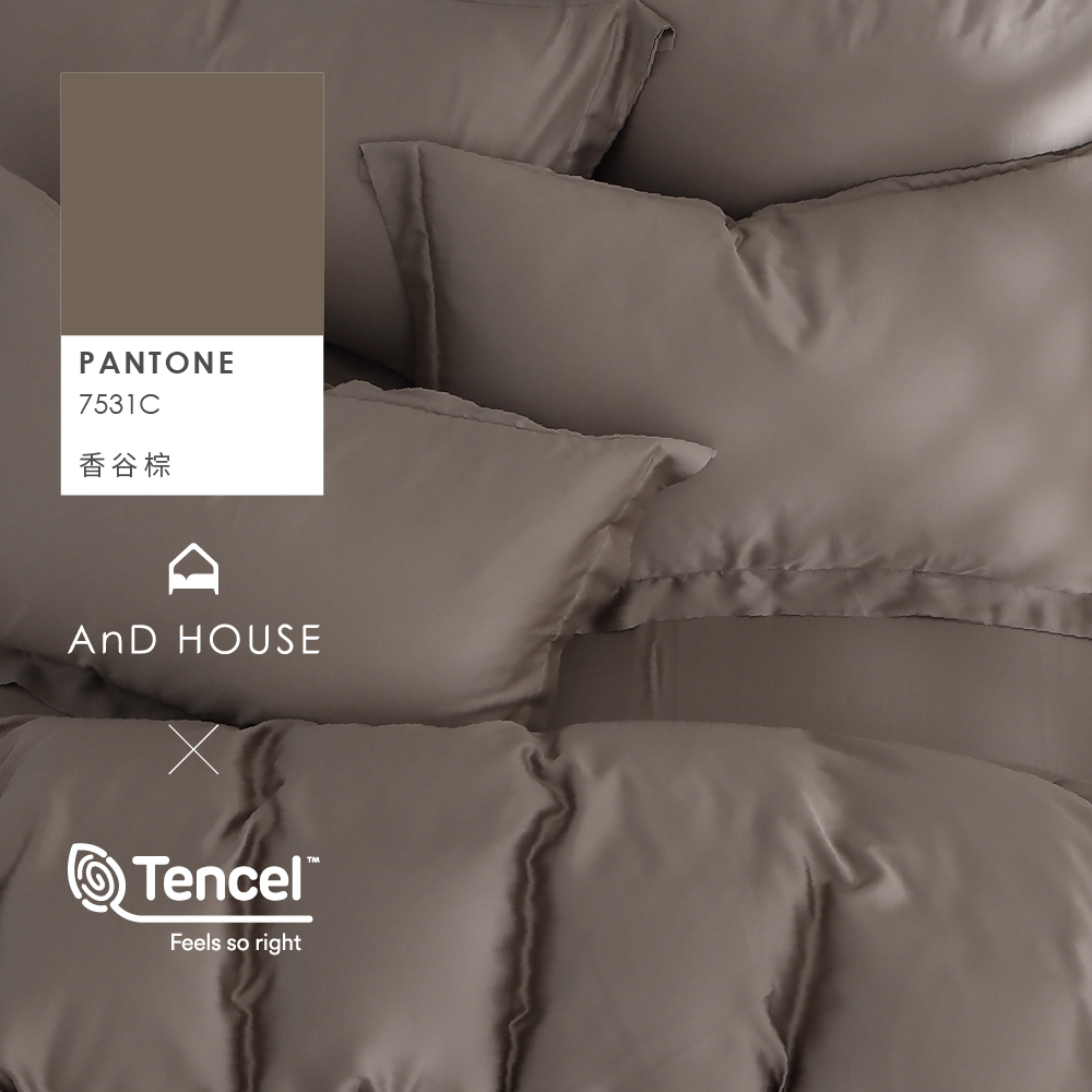 60支天絲｜100%萊賽爾｜香谷棕｜單品&床包被套組