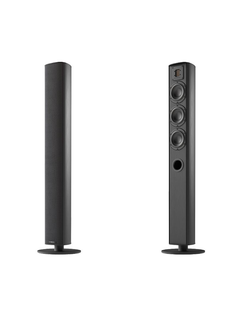 瑞士 Piega Ace 50 落地式揚聲器