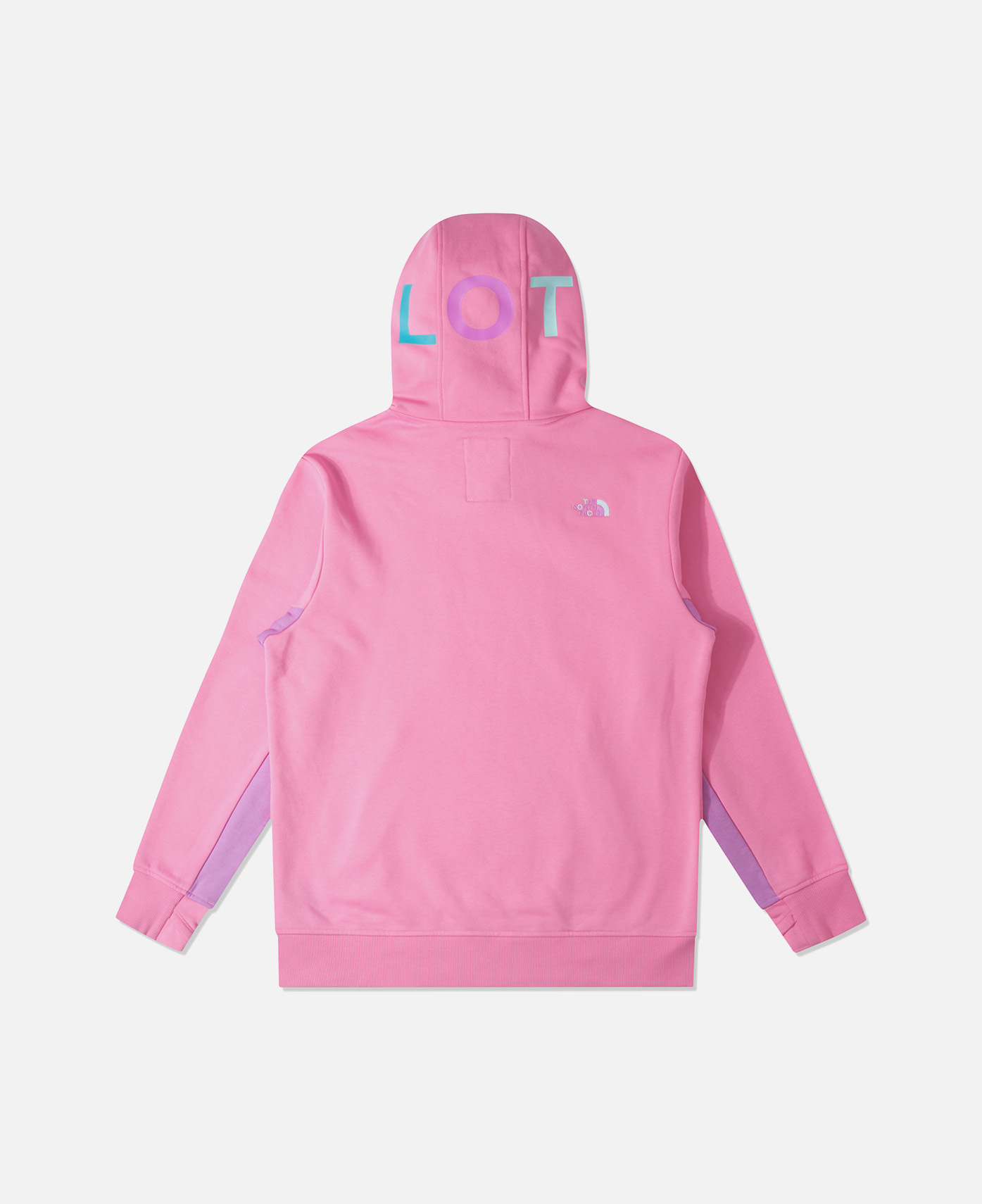 The north face 2025 techno hoodie