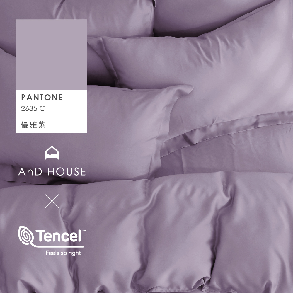 60支天絲｜100%萊賽爾｜優雅紫｜單品&床包被套組