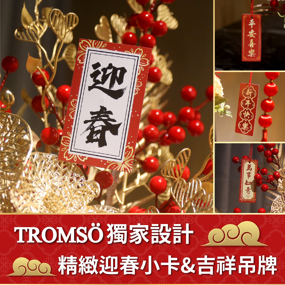 TROMSO金喜發財果新年花禮花籃B系列