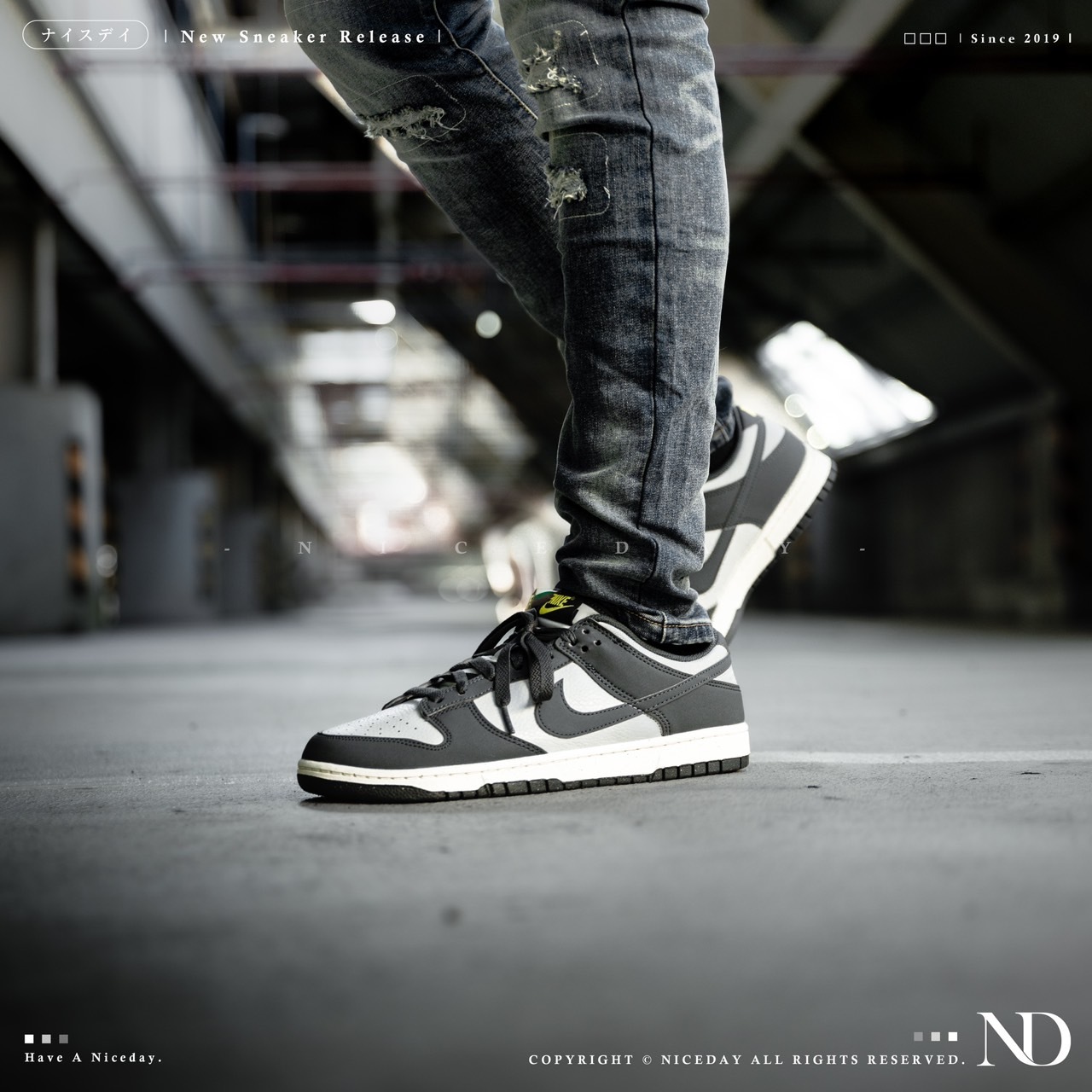 NICEDAY 代購 Nike Dunk Low 水泥煙灰 灰白 煙灰 奶油底 輕量 環保材質 男款 FZ4621-001