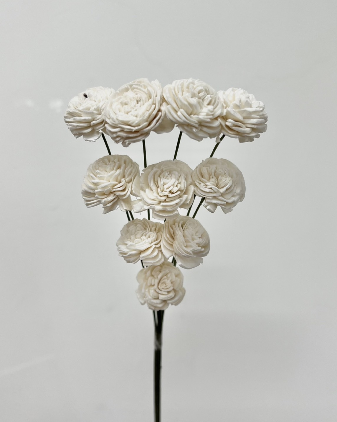 索拉玫瑰花(2cm) 32084-011