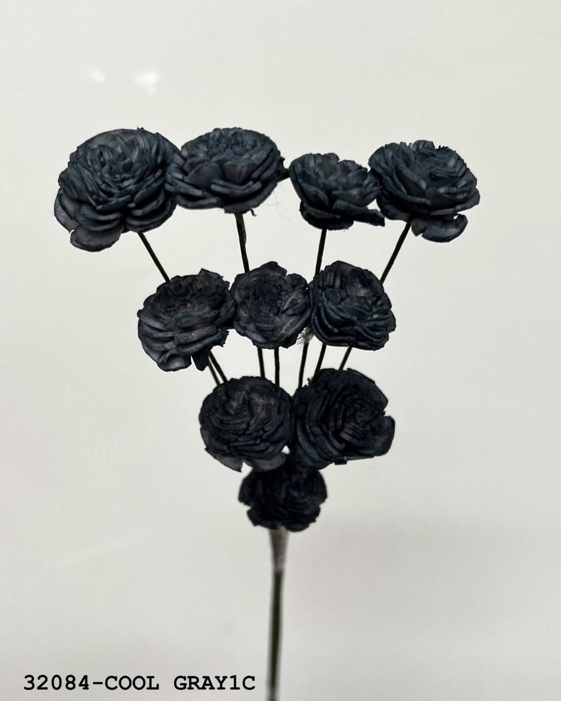 索拉玫瑰花(2cm) 32084-COOLGRAY1C